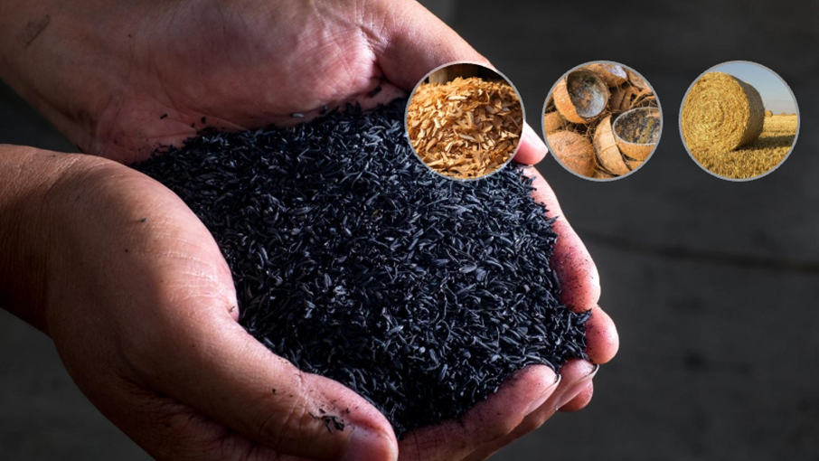 Biomass to Biochar